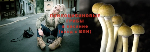 твердый Алексеевка