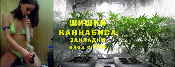 бошки Алексин