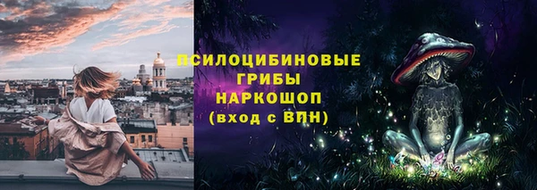 Альфа ПВП Алзамай