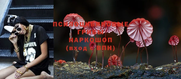 твердый Алексеевка