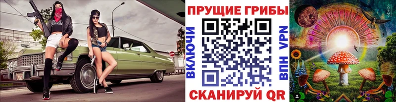 Галлюциногенные грибы MAGIC MUSHROOMS  продажа наркотиков  Амурск 